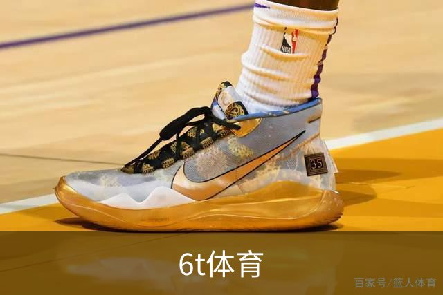 6t体育公司环境